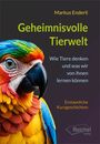 Cover von Geheimnisvolle Tierwelt (Buch von Enderli, Markus)